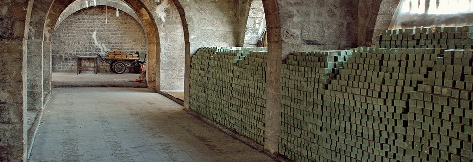 11229760_1426252374366065_6548839689776479134_n