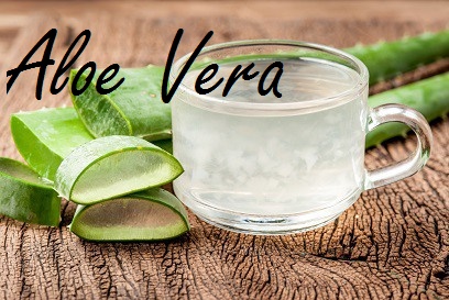 Aloe vera