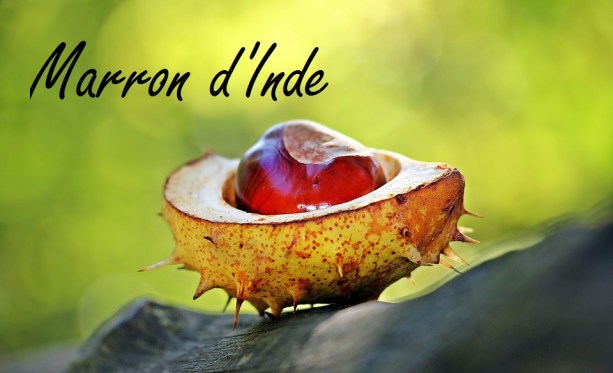 Marron d'inde
