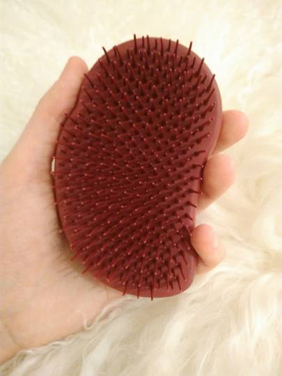 27537197_1992748384099212_415084370_o